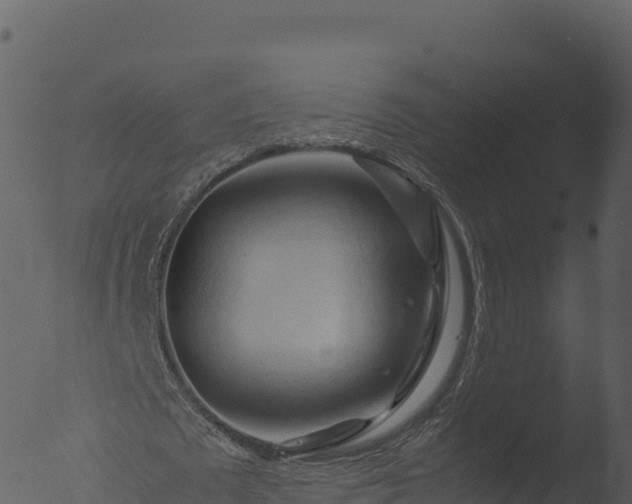 X0000053090673200507181719