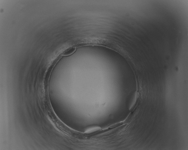 X0000053090674200507181719