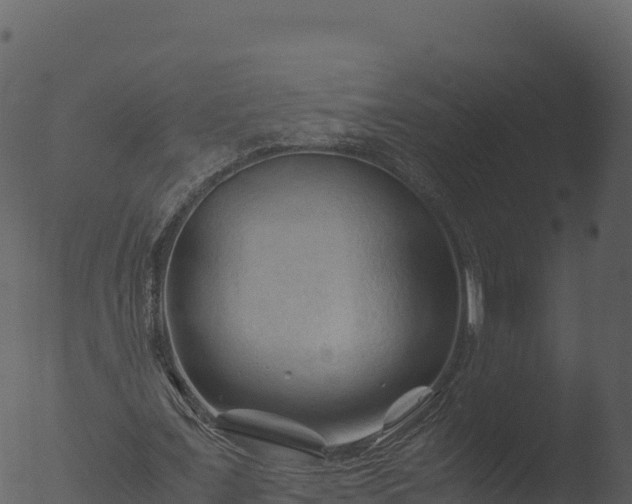 X0000053090675200507181719