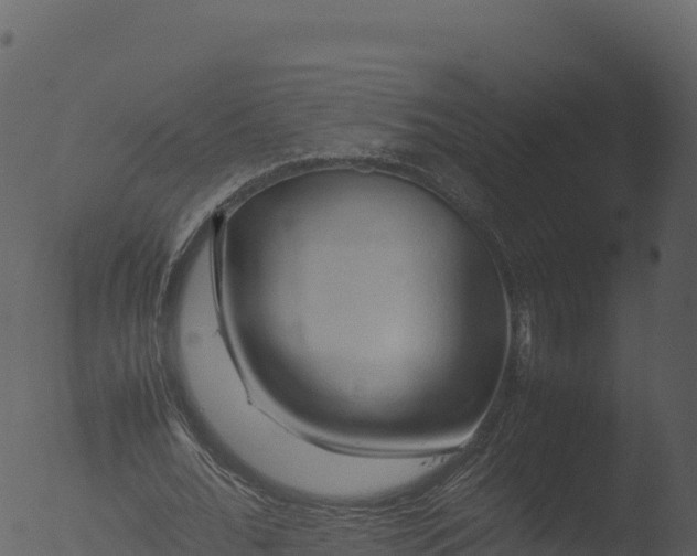 X0000053090676200507181719