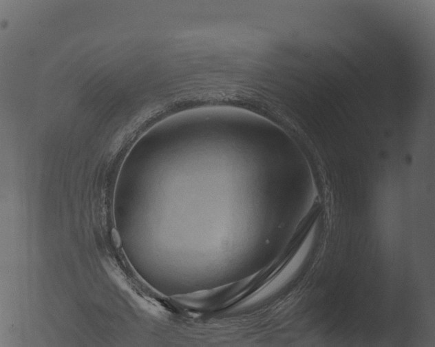 X0000053090677200507181719