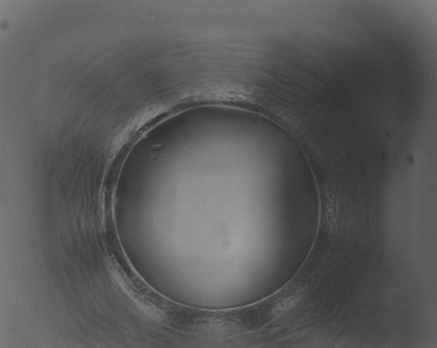 X0000053090678200507181719