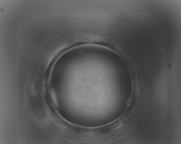 X0000053090679200507181719