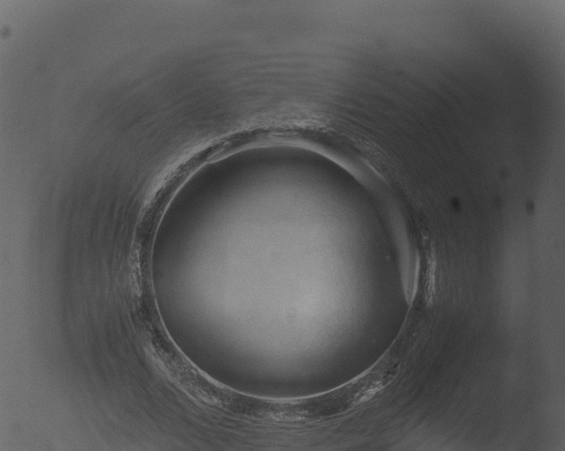 X0000053090680200507181719