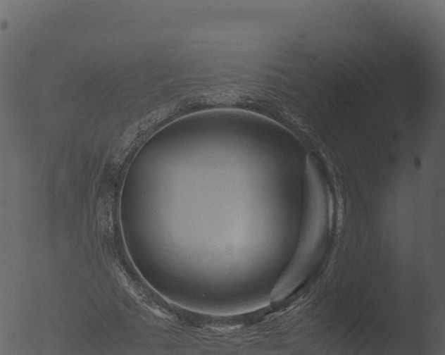 X0000053090681200507181719