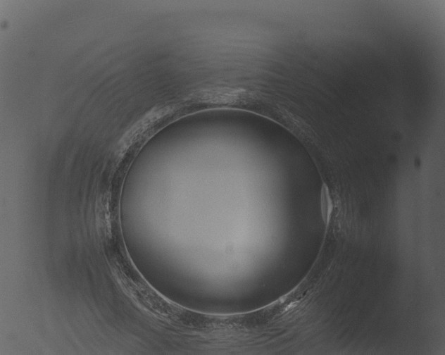 X0000053090682200507181719