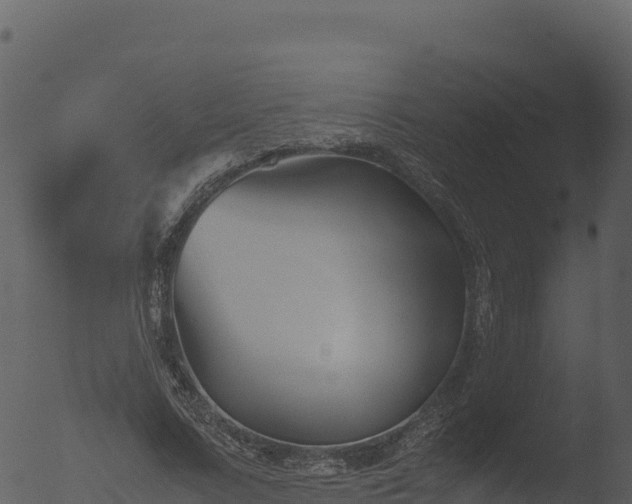 X0000053090683200507181719