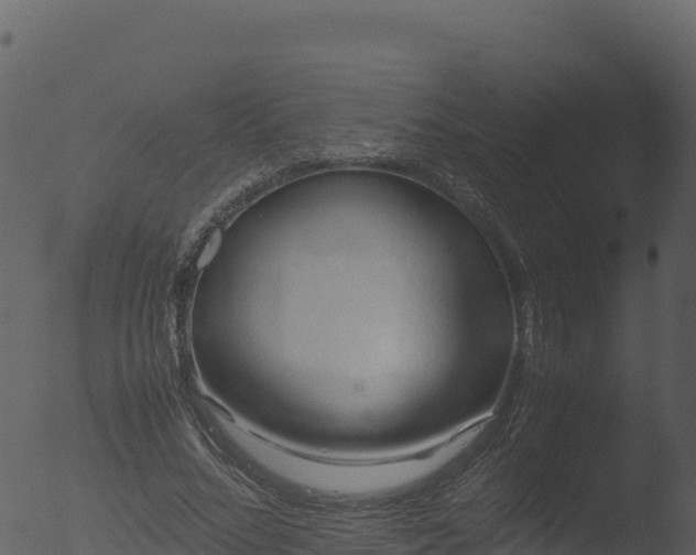 X0000053090684200507181719