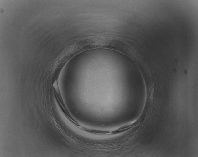 X0000053090685200507181719