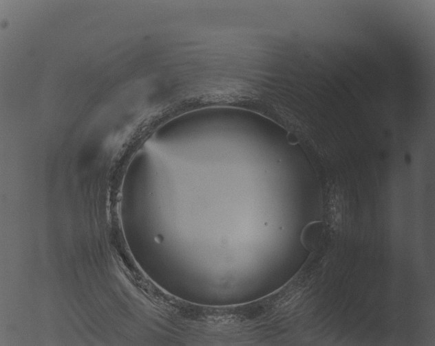 X0000053090686200507181719