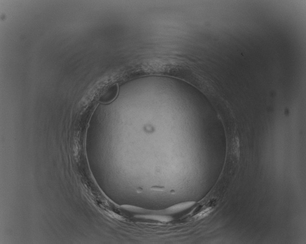 X0000053090687200507181719