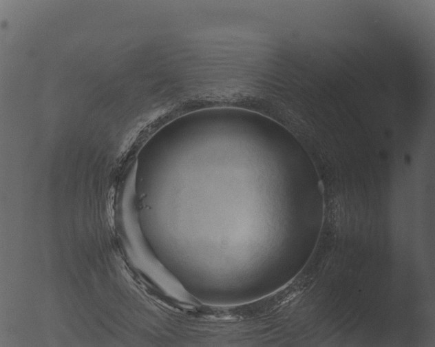 X0000053090688200507181719