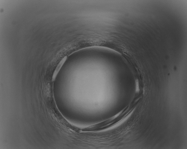 X0000053090689200507181719