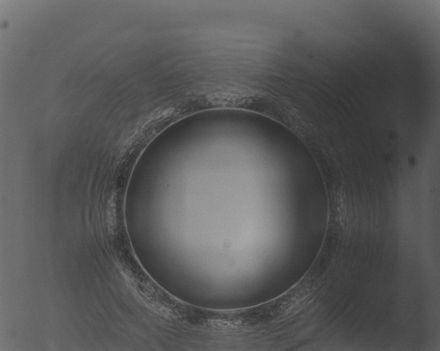 X0000053090690200507181719