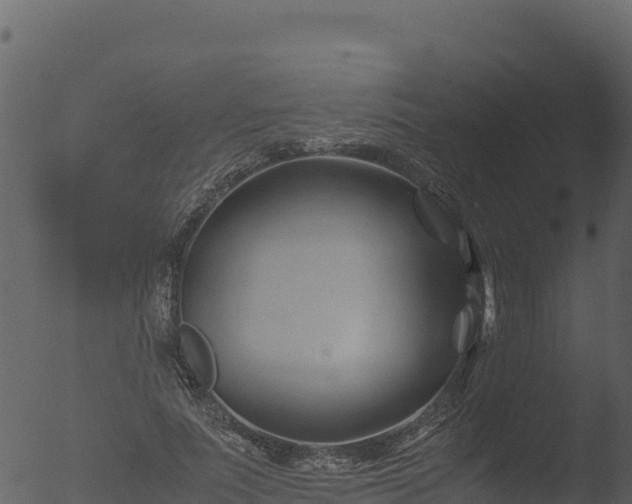 X0000053090691200507181719