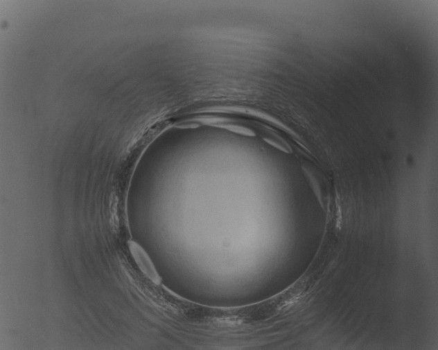 X0000053090692200507181719