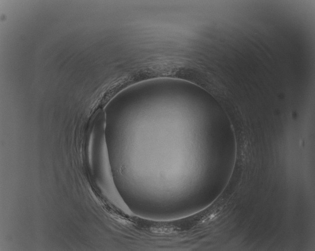 X0000053090693200507181719