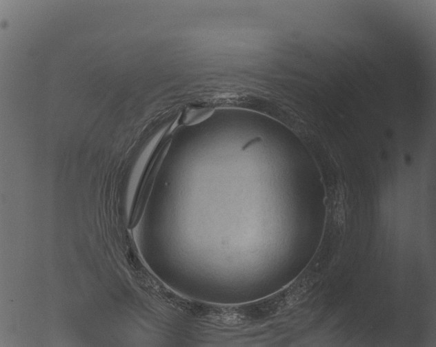 X0000053090695200507181719