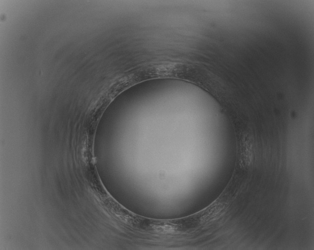 X0000053090698200507181719