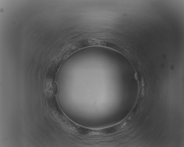 X0000053090699200507181719