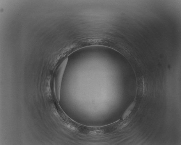 X0000053090700200507181719