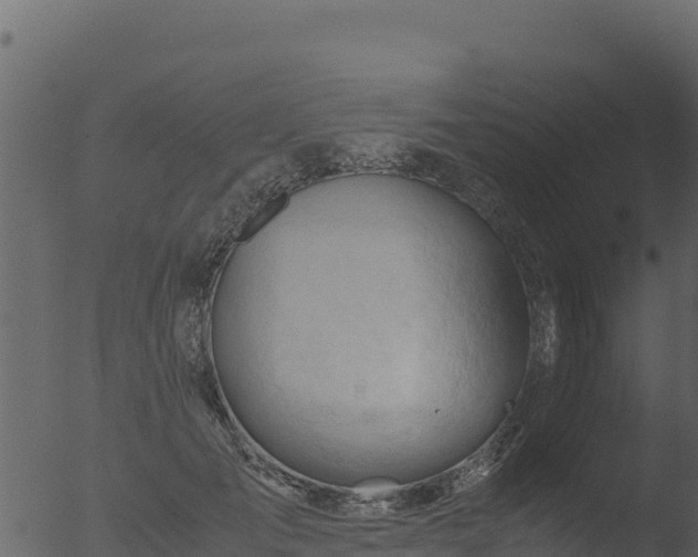 X0000053090701200507181719