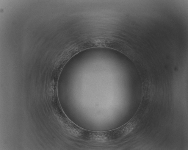 X0000053090702200507181719