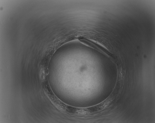 X0000053090703200507181719