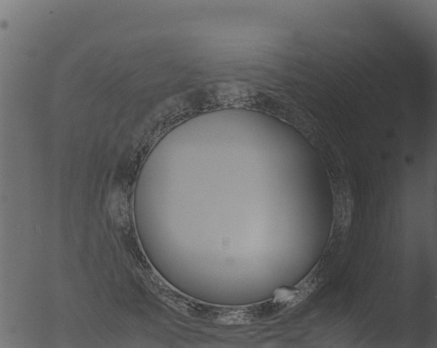 X0000053090705200507181719