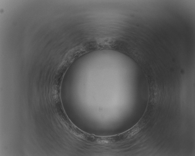 X0000053090706200507181719