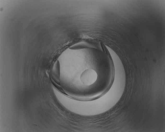 X0000053090707200507181719