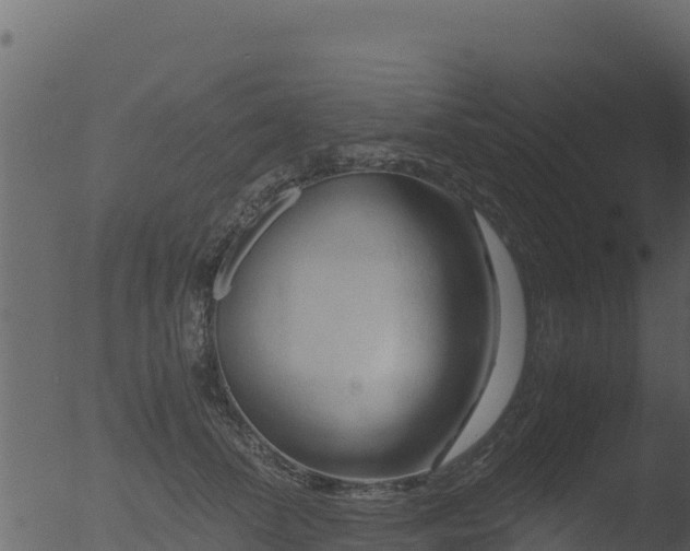 X0000053090708200507181719