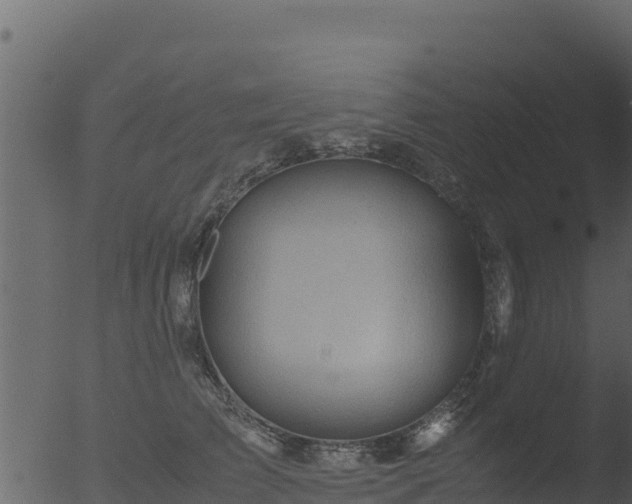 X0000053090709200507181719