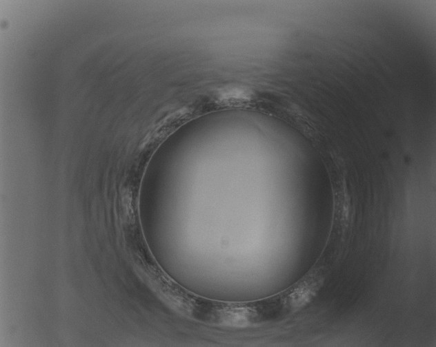 X0000053090711200507181719