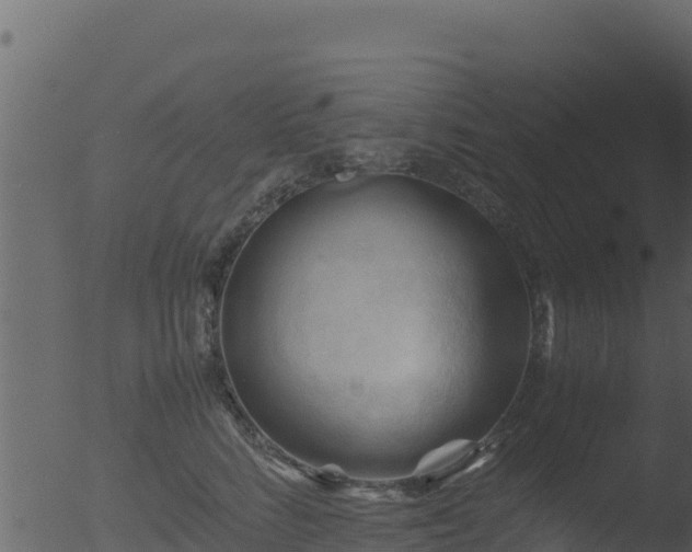 X0000053090712200507181719