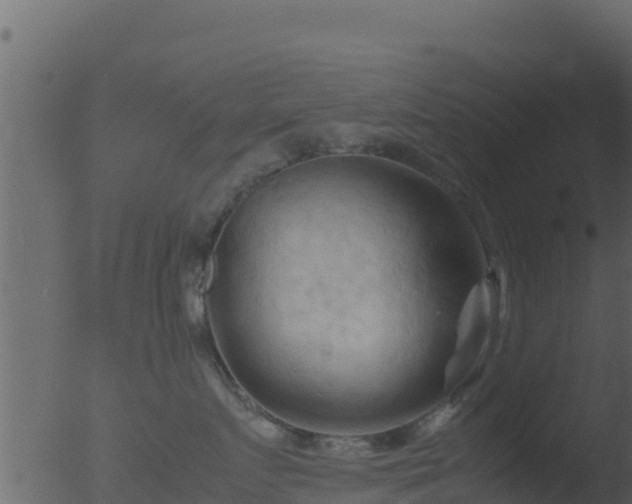 X0000053090719200507181719