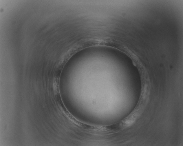 X0000053090720200507181719