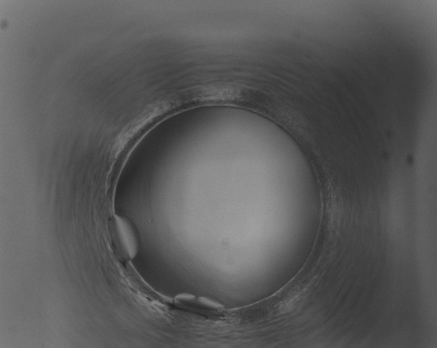 X0000053090721200507181718