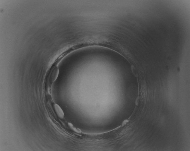 X0000053090722200507181718