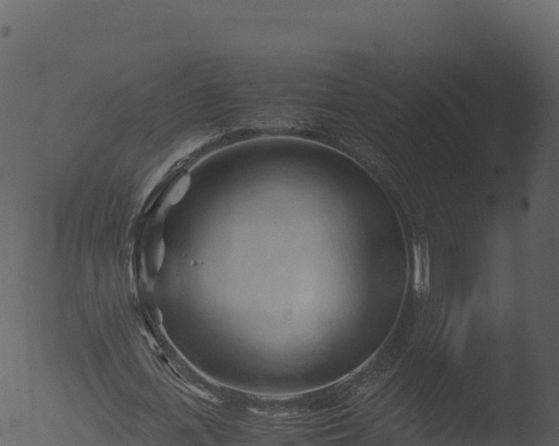 X0000053090723200507181718