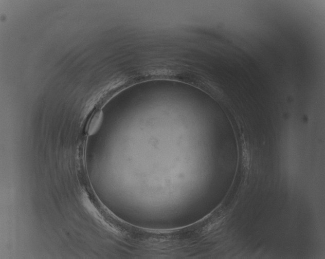 X0000053090725200507181718