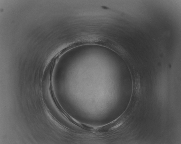 X0000053090726200507181718