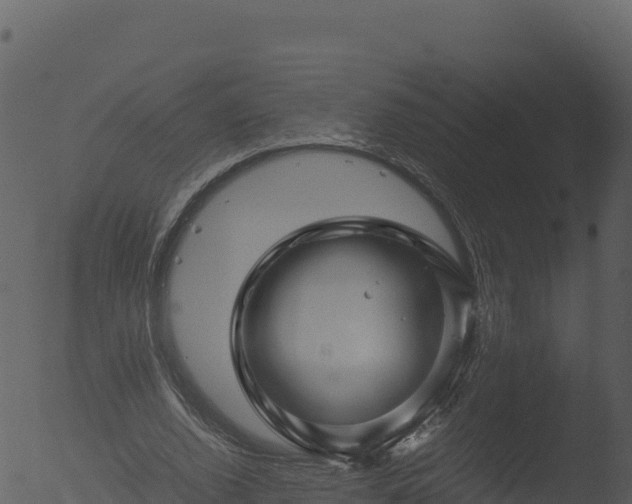 X0000053090728200507181718