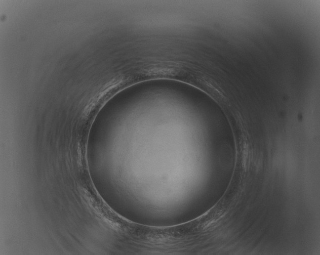 X0000053090729200507181718