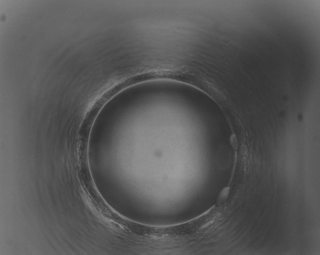 X0000053090730200507181718