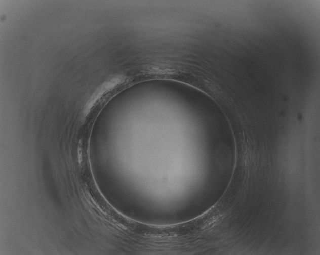 X0000053090731200507181718