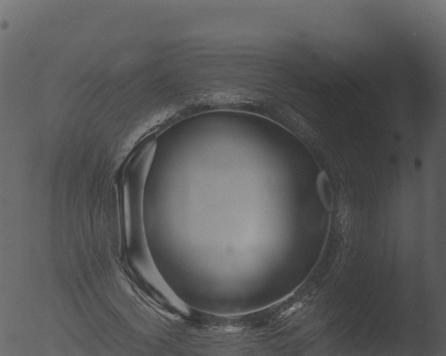 X0000053090732200507181718