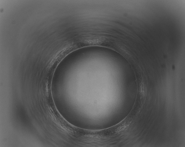 X0000053090733200507181718