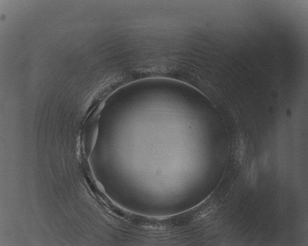 X0000053090735200507181718