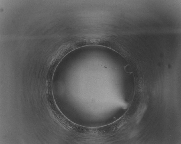 X0000053090738200507181718